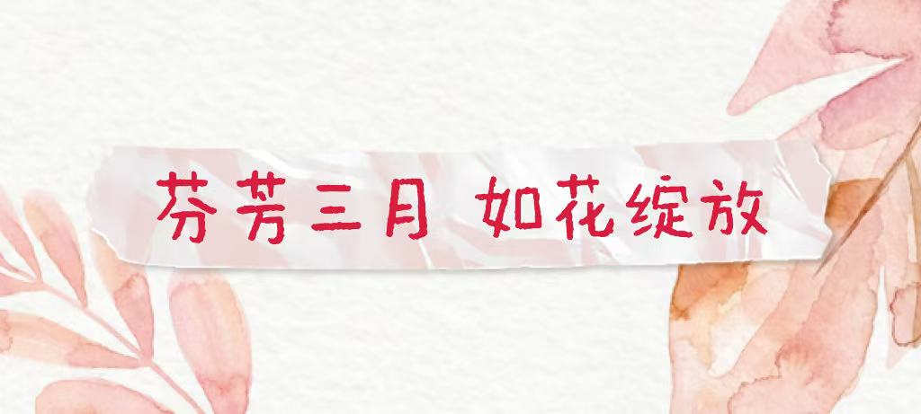 芬芳三月・如花绽放 | 汇通金科工会开展 “三八”国际妇女节温情慰问活动