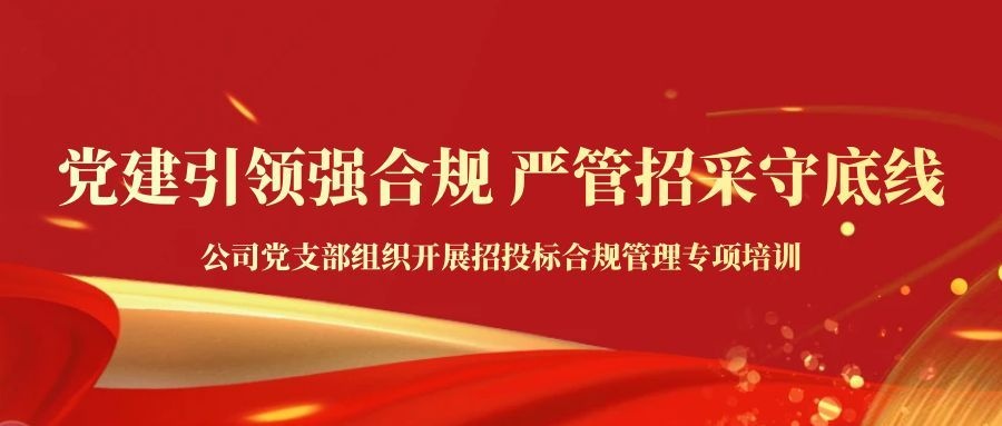 党建引领强合规 严管招采守底线——公司党支部组织开展招投标合规管理专项培训