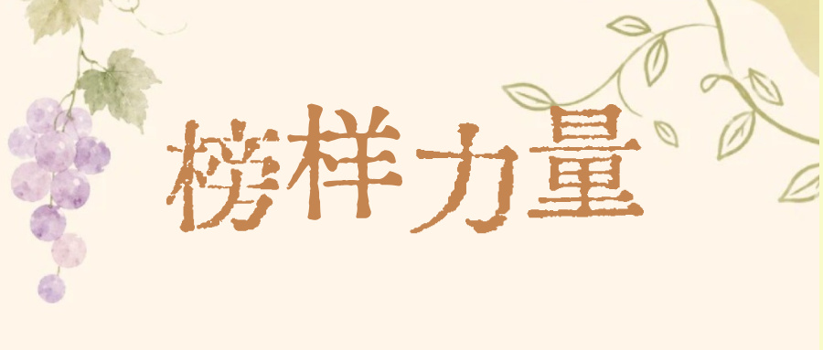 以实干铸佳绩 以坚守致初心——四川JH分期通杨怡